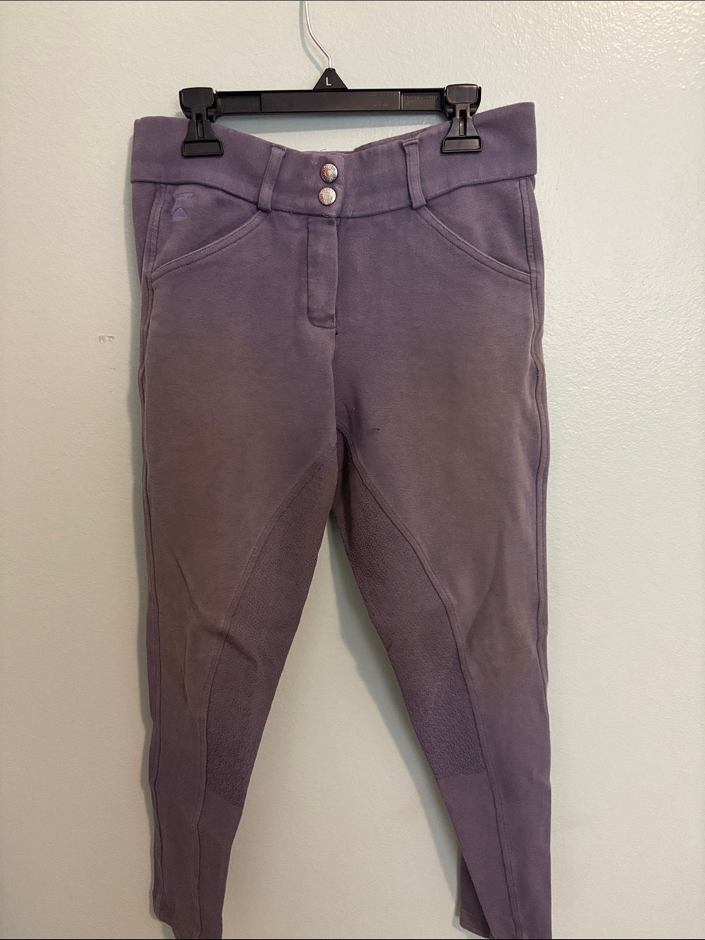 Purple Riding Breeches